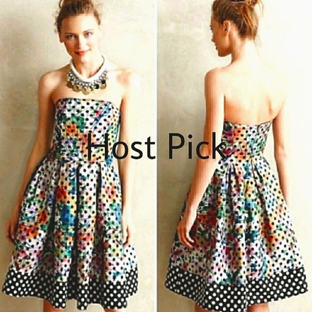 ANTHROPOLOGIE NWT Corey Lynn Calter dress SZ. 4  "As seen on TV"